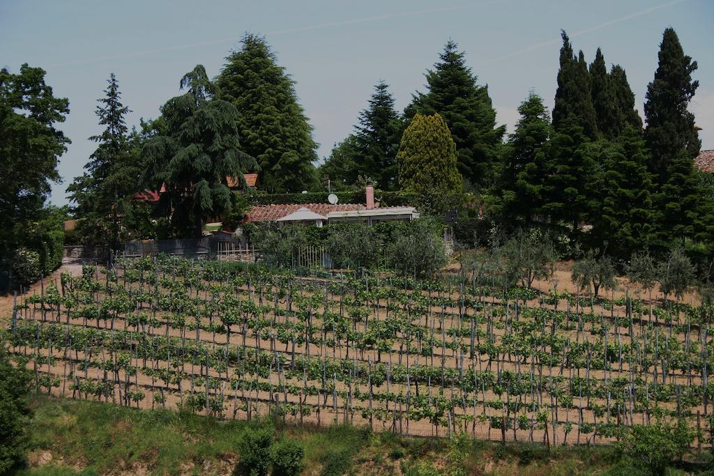 Agriturismo Podere La Fornace คาวริเลีย ภายนอก รูปภาพ