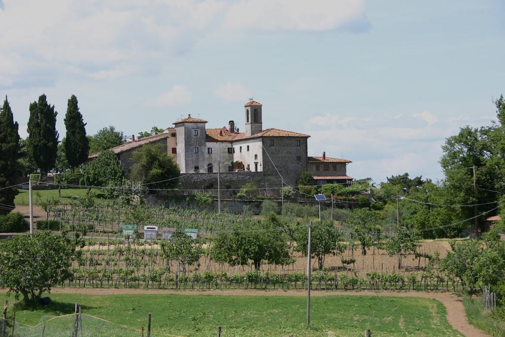 Agriturismo Podere La Fornace คาวริเลีย ภายนอก รูปภาพ