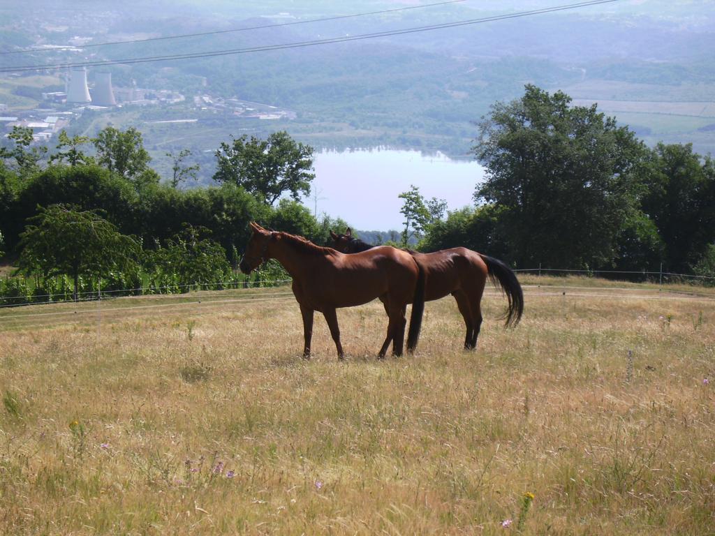 Agriturismo Podere La Fornace คาวริเลีย ภายนอก รูปภาพ